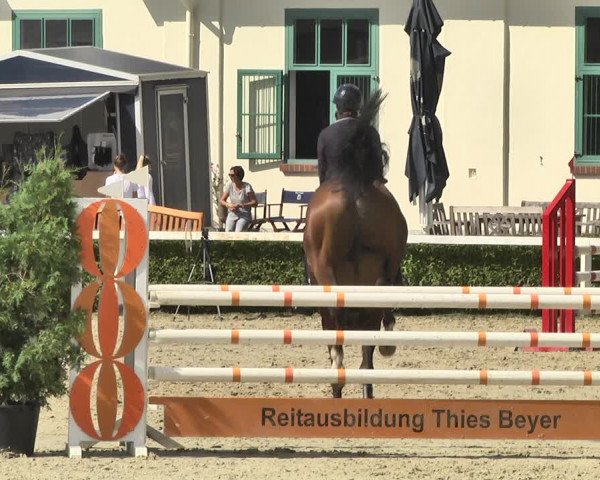 Reitturnier St.Wendel, Gestüt Welvert 2020