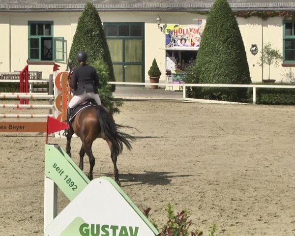 Reitturnier St.Wendel, Gestüt Welvert 2020