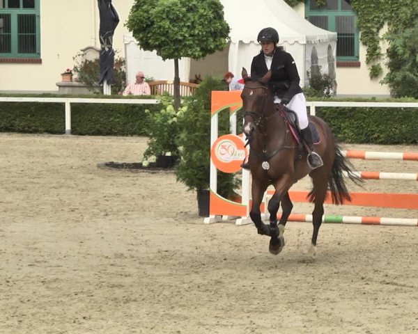 Reitturnier St.Wendel, Gestüt Welvert 2020