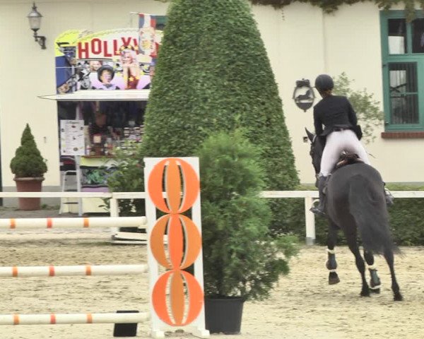 Reitturnier St.Wendel, Gestüt Welvert 2020