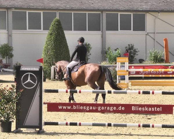 Reitturnier St.Wendel, Gestüt Welvert 2020