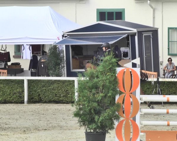 Reitturnier St.Wendel, Gestüt Welvert 2020