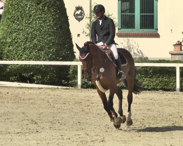Reitturnier St.Wendel, Gestüt Welvert 2020