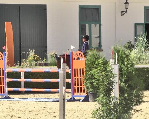 Reitturnier St.Wendel, Gestüt Welvert 2020