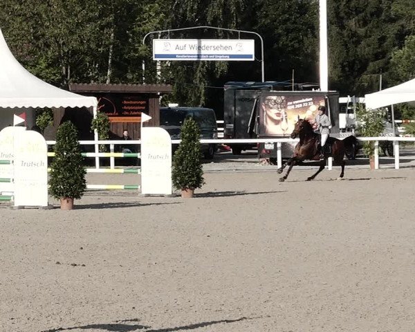 Pferdesporttage Bülach 2021