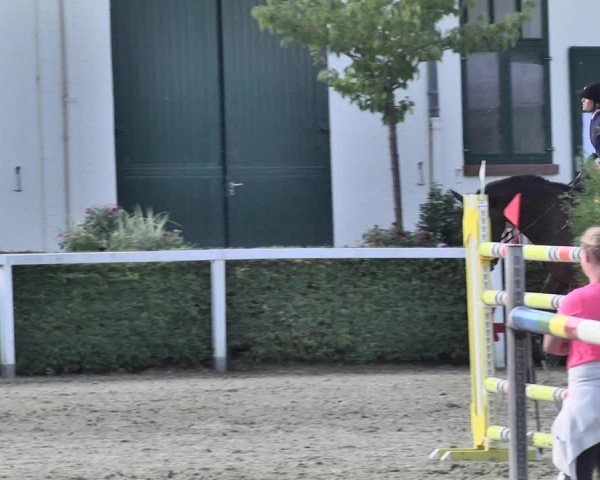 Reitturnier St.Wendel, Gestüt Welvert 2020