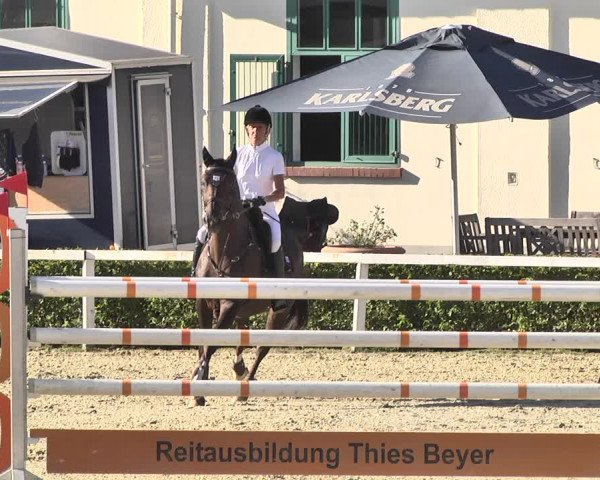Reitturnier St.Wendel, Gestüt Welvert 2020