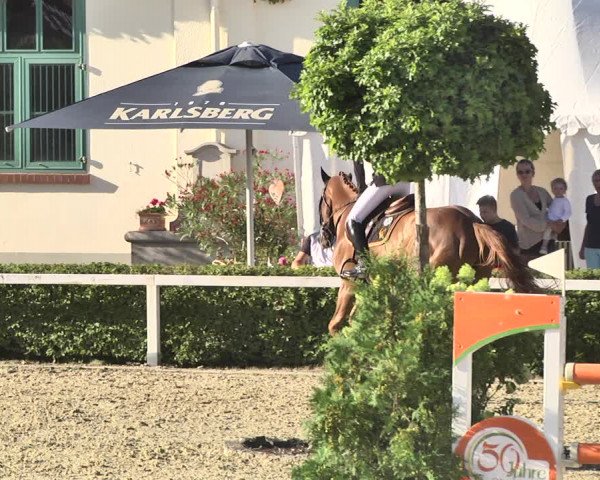Reitturnier St.Wendel, Gestüt Welvert 2020