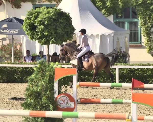 Reitturnier St.Wendel, Gestüt Welvert 2020