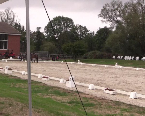 Rheinische Meisterschaften 2020