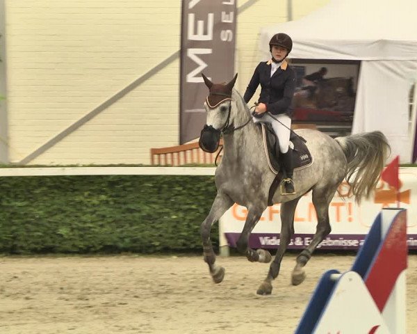 Reitturnier St.Wendel, Gestüt Welvert 2020