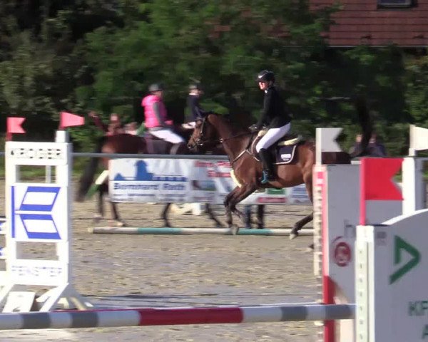 Reitturnier Ascheberg 2020