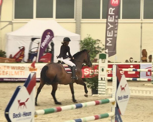 Reitturnier St.Wendel, Gestüt Welvert 2020