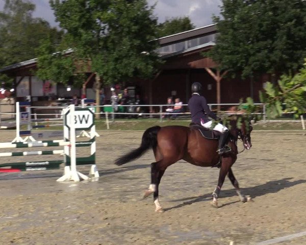 Reitturnier Ascheberg 2020