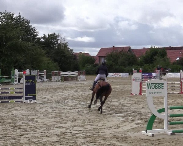 Reitturnier Ascheberg 2020