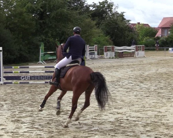 Reitturnier Ascheberg 2020