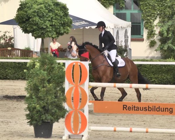 Reitturnier St.Wendel, Gestüt Welvert 2020
