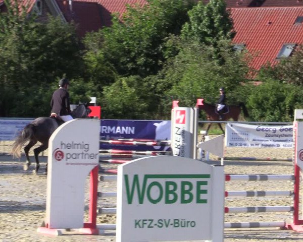 Reitturnier Ascheberg 2020