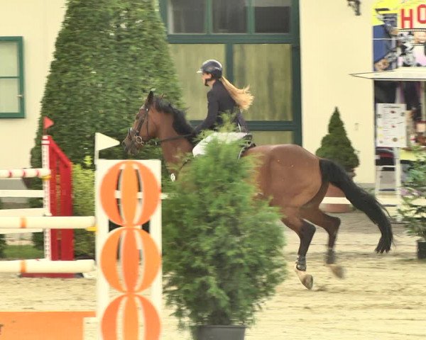 Reitturnier St.Wendel, Gestüt Welvert 2020