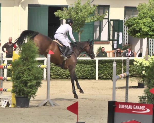 Reitturnier St.Wendel, Gestüt Welvert 2020