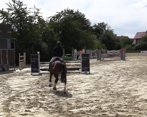 Reitturnier Ascheberg 2020