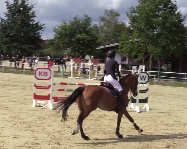 Reitturnier Ascheberg 2020