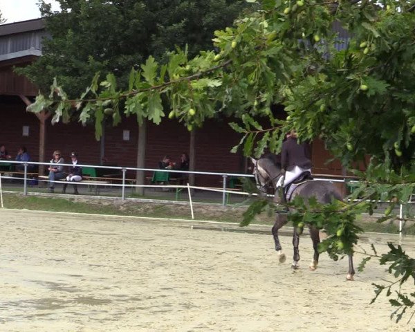 Reitturnier Ascheberg 2020