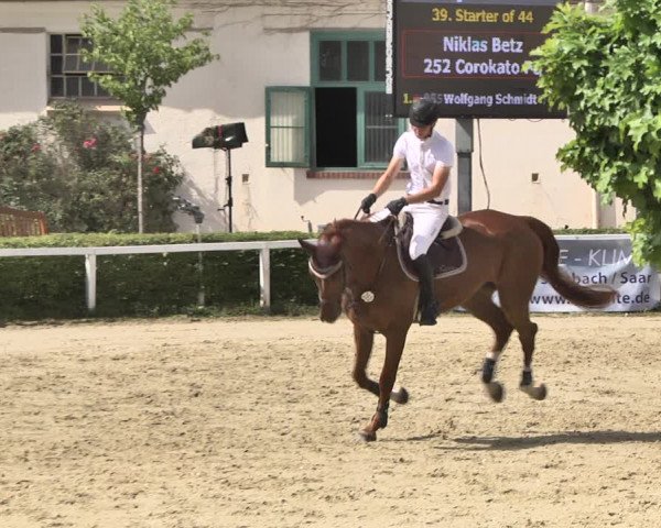 Reitturnier St.Wendel, Gestüt Welvert 2020