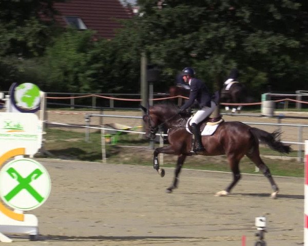 Reitturnier Ascheberg 2020