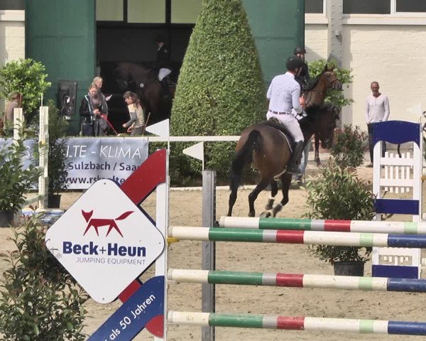Reitturnier St.Wendel, Gestüt Welvert 2020