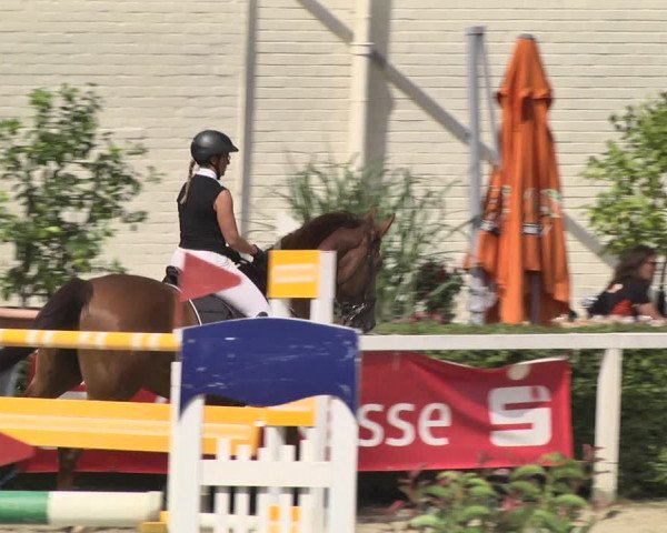Reitturnier St.Wendel, Gestüt Welvert 2020