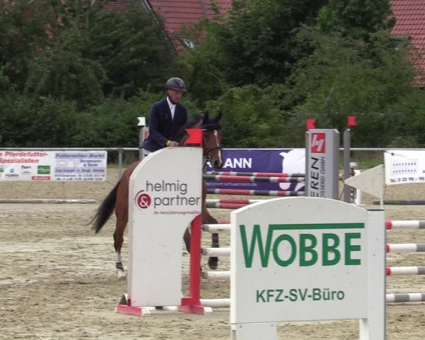 Reitturnier Ascheberg 2020
