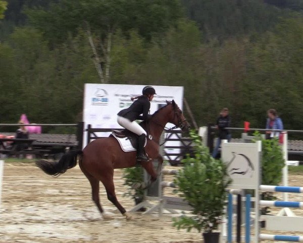 Reitturnier Bühren-Breckerfeld 2020