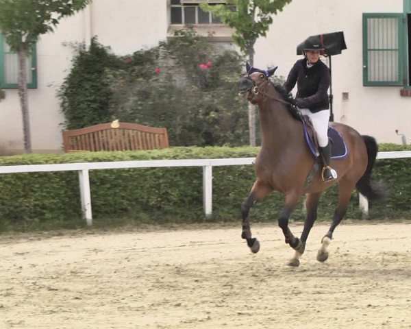 Reitturnier St.Wendel, Gestüt Welvert 2020