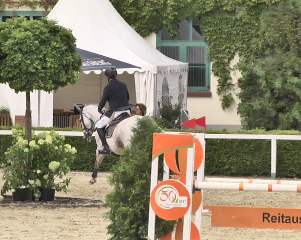 Reitturnier St.Wendel, Gestüt Welvert 2020