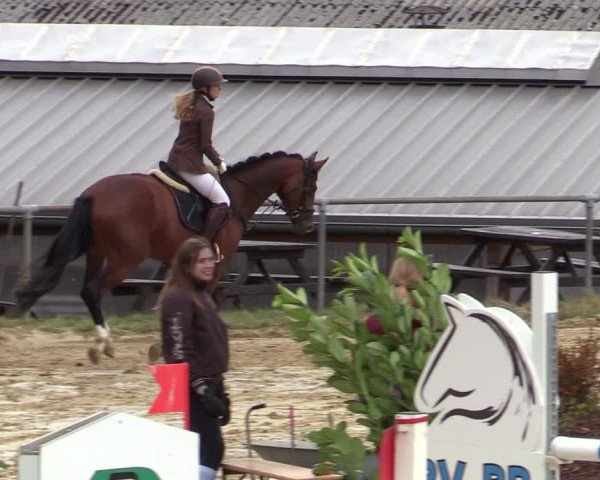 Reitturnier Bühren-Breckerfeld 2020