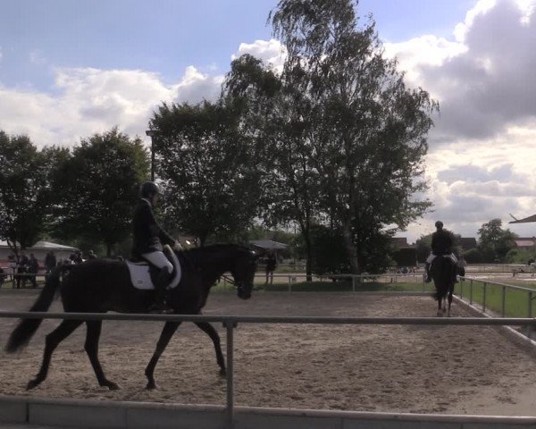Reitturnier Ascheberg 2020