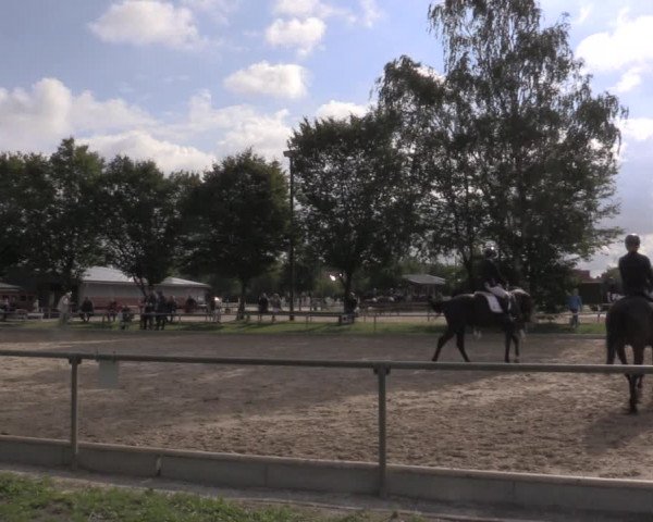 Reitturnier Ascheberg 2020