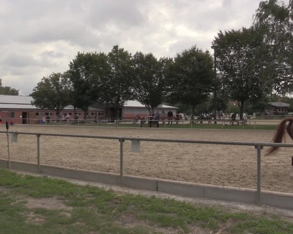 Reitturnier Ascheberg 2020