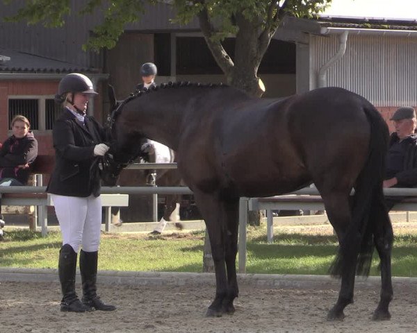 Reitturnier Ascheberg 2020