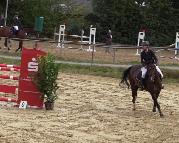 Reitturnier Bühren-Breckerfeld 2020