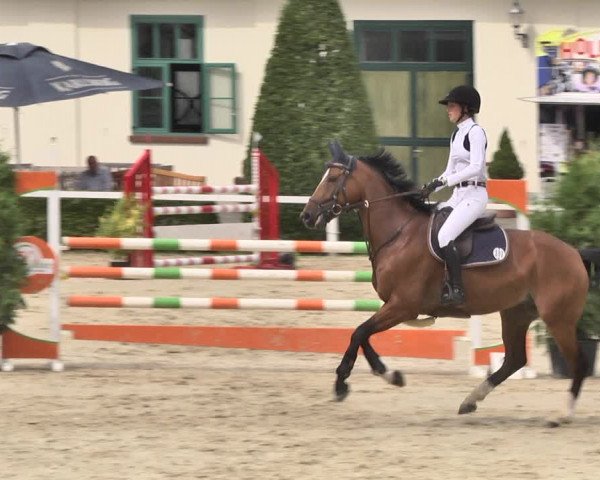 Reitturnier St.Wendel, Gestüt Welvert 2020
