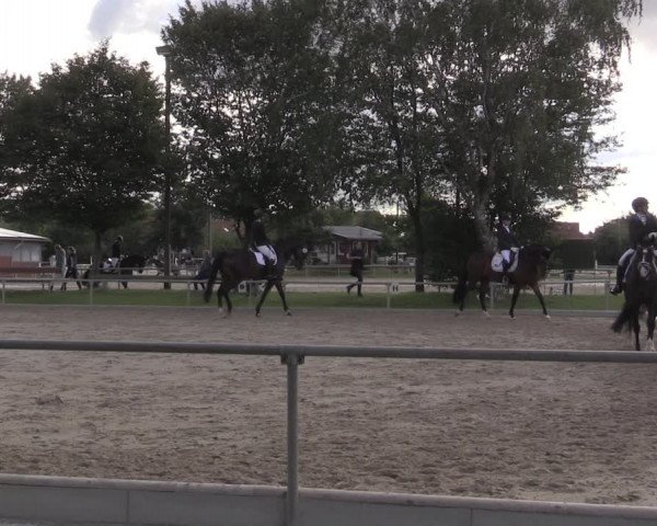 Reitturnier Ascheberg 2020