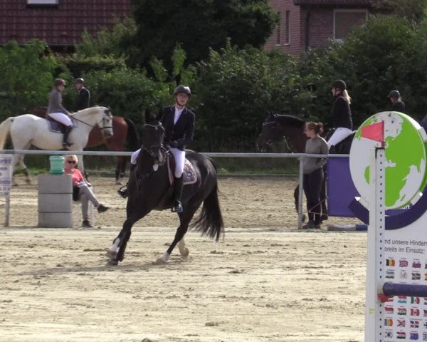 Reitturnier Ascheberg 2020