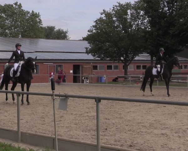 Reitturnier Ascheberg 2020