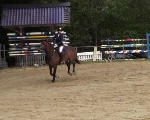 Reitturnier Bühren-Breckerfeld 2020
