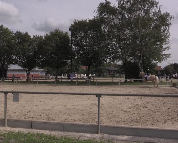 Reitturnier Ascheberg 2020