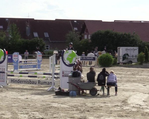 Reitturnier Ascheberg 2020