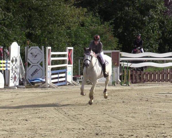 Reitturnier Ascheberg 2020