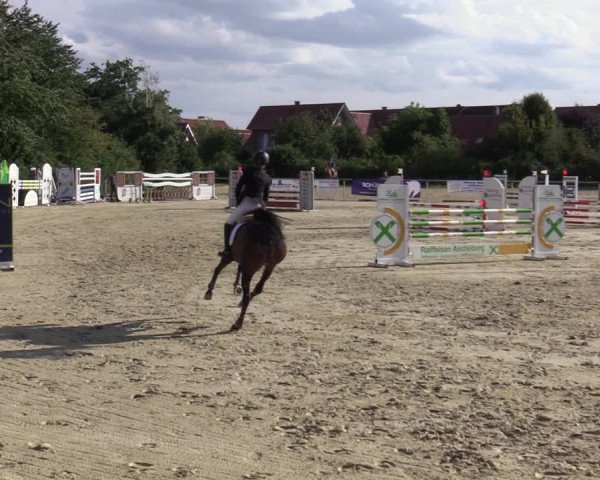 Reitturnier Ascheberg 2020